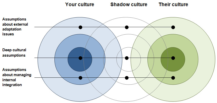 Organisational shadow culture