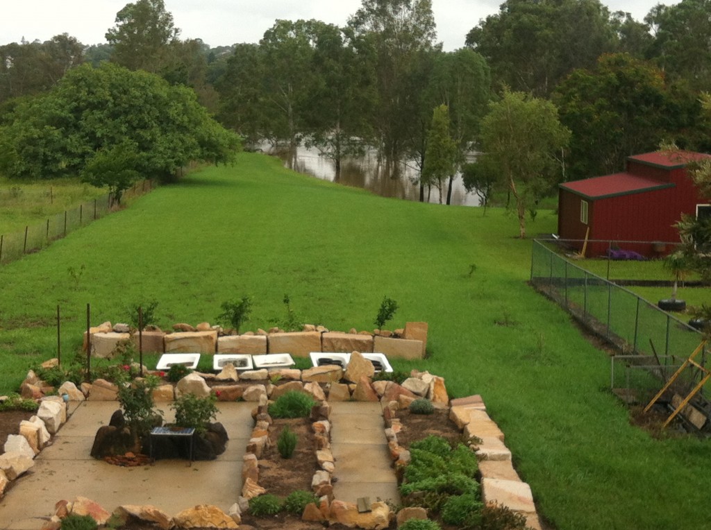 a backyard spared from the Queensland flood