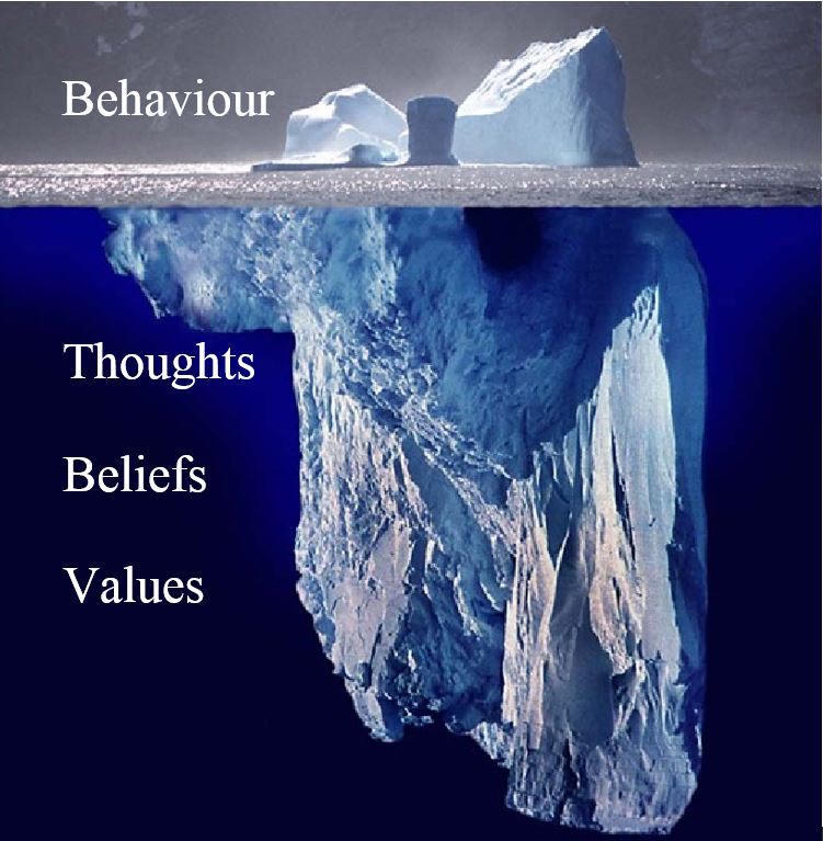 Behaviour iceberg