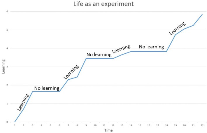 Life as an experiment